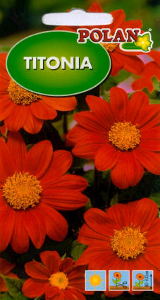 PLANTICO zaden van planten, groenten, bloemen