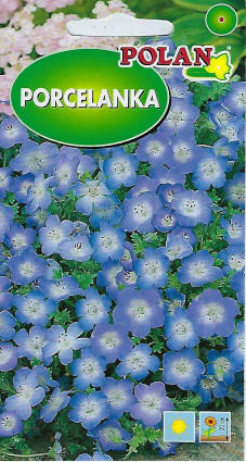 PLANTICO zaden van planten, groenten, bloemen