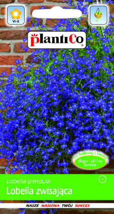 PLANTICO zaden van planten, groenten, bloemen