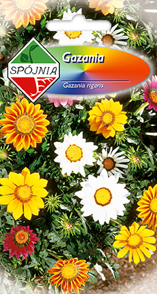 PLANTICO zaden van planten, groenten, bloemen